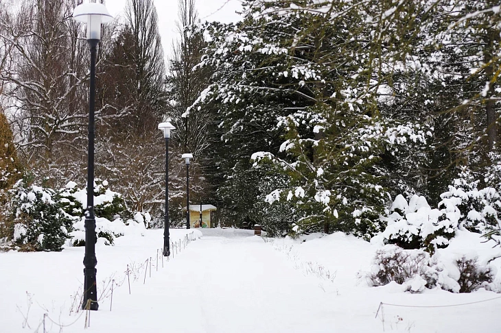 February Brings Heavy Snow to Botanical Garden | Image 1