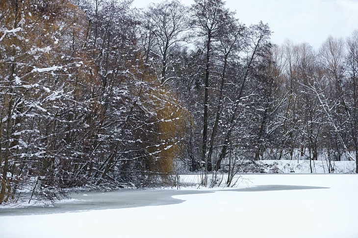 February Brings Heavy Snow to Botanical Garden | Image 10