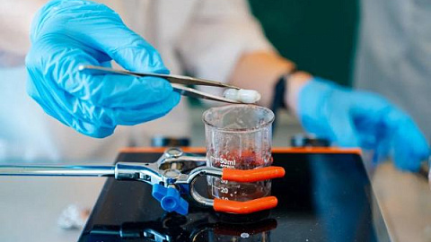 IKBFU Scientists Develop a Mechanism for Creating Smart Materials for Medicine