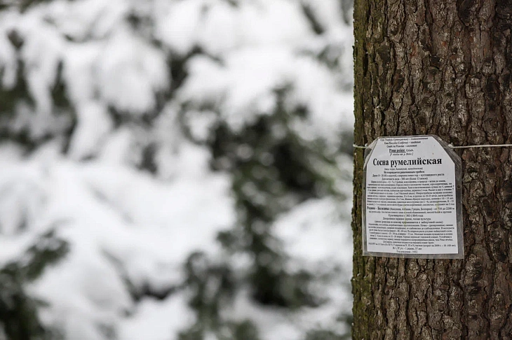 February Brings Heavy Snow to Botanical Garden | Image 13