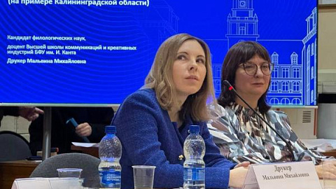 Artificial Intelligence and Cognitive Security: IKBFU Expert at the International Conference