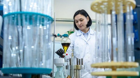 IKBFU Scientists Have Found the Optimal Way to Produce Biofuel from Wood