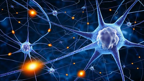 Нейросеть помогла диагностировать ослабление связей между отделами мозга