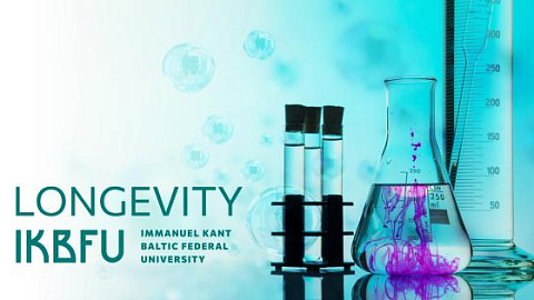 How to Slow Down Senescence?