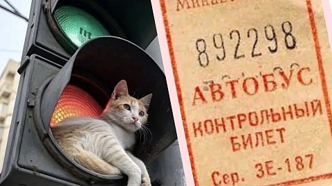 Привычки и&nbsp;юмор калининградцев, дворовые легенды и&nbsp;страшилки: приглашаем на&nbsp;лекцию спикера БФУ им.&nbsp;И.&nbsp;Канта Никиты Никитина