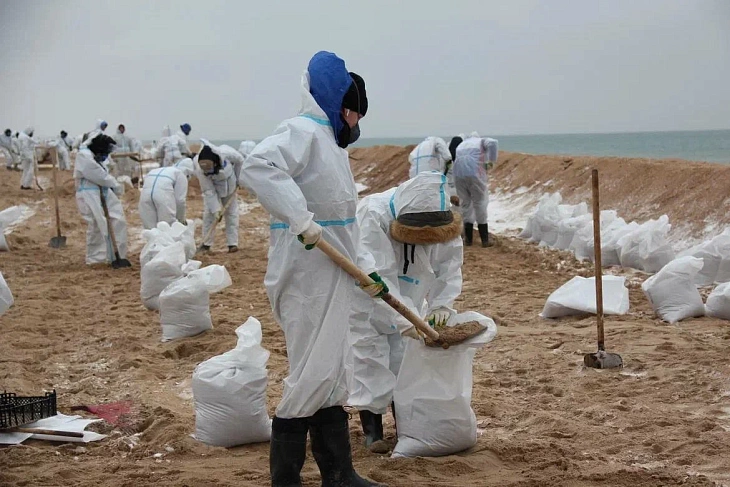 Kaliningrad Students Volunteer to Clean Black Sea Coast After Oil Spill | Image 5