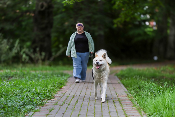 Stray Dog Finds a Forever Home at IKBFU Botanical Garden | Image 3