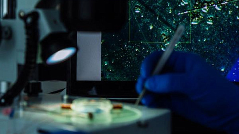  IKBFU and NUST MISIS have Studied the Potential of Micromaterials for Medicine and Engineering