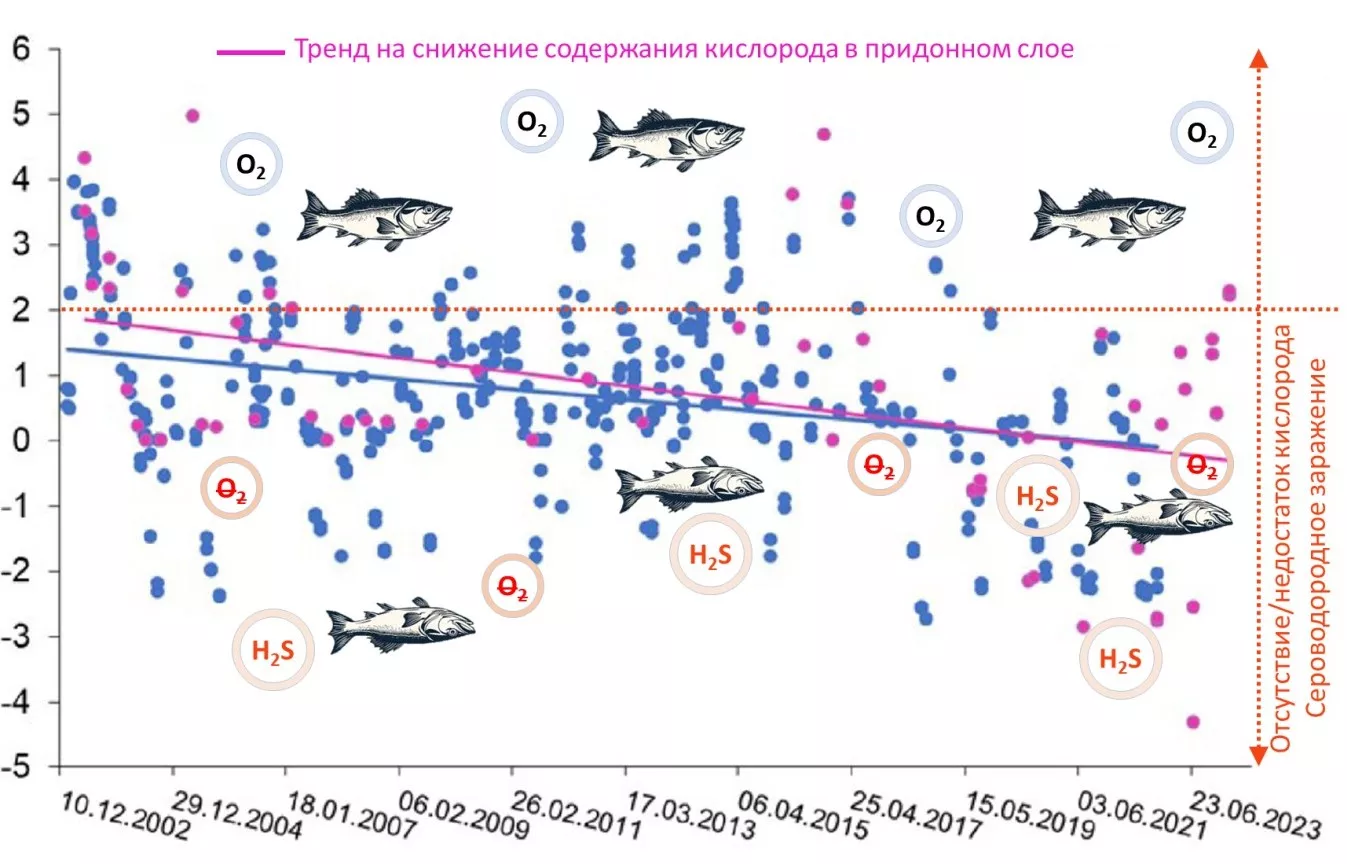 Рисунок_1_Снижение_содержания_растворенного_кислорода_в_придонном.jpg