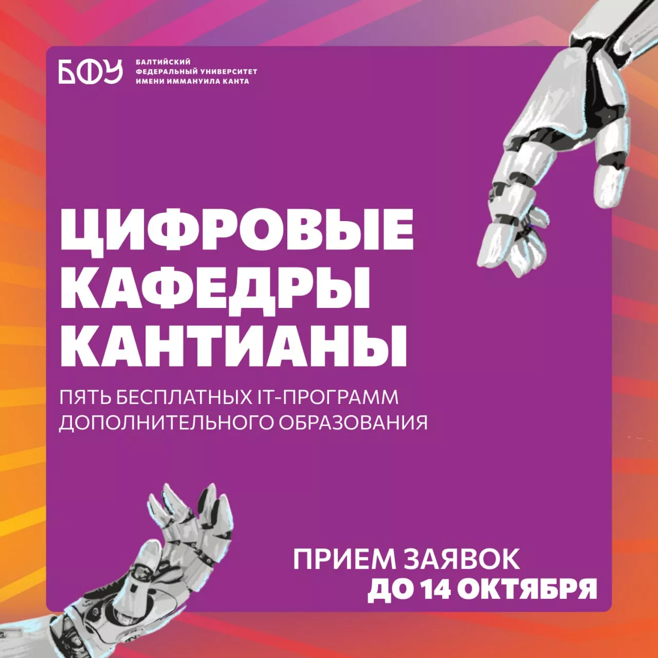 d19b150d-2509-4328-9fa2-c7108f5f0683.jpg