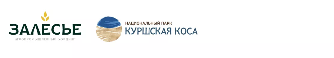 Group 6.png