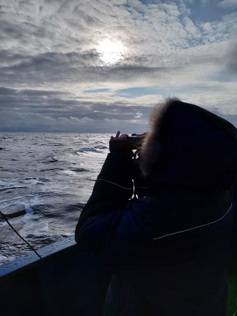 Рисунок 4. Наблюдение за&nbsp;морской поверхностью.jpg