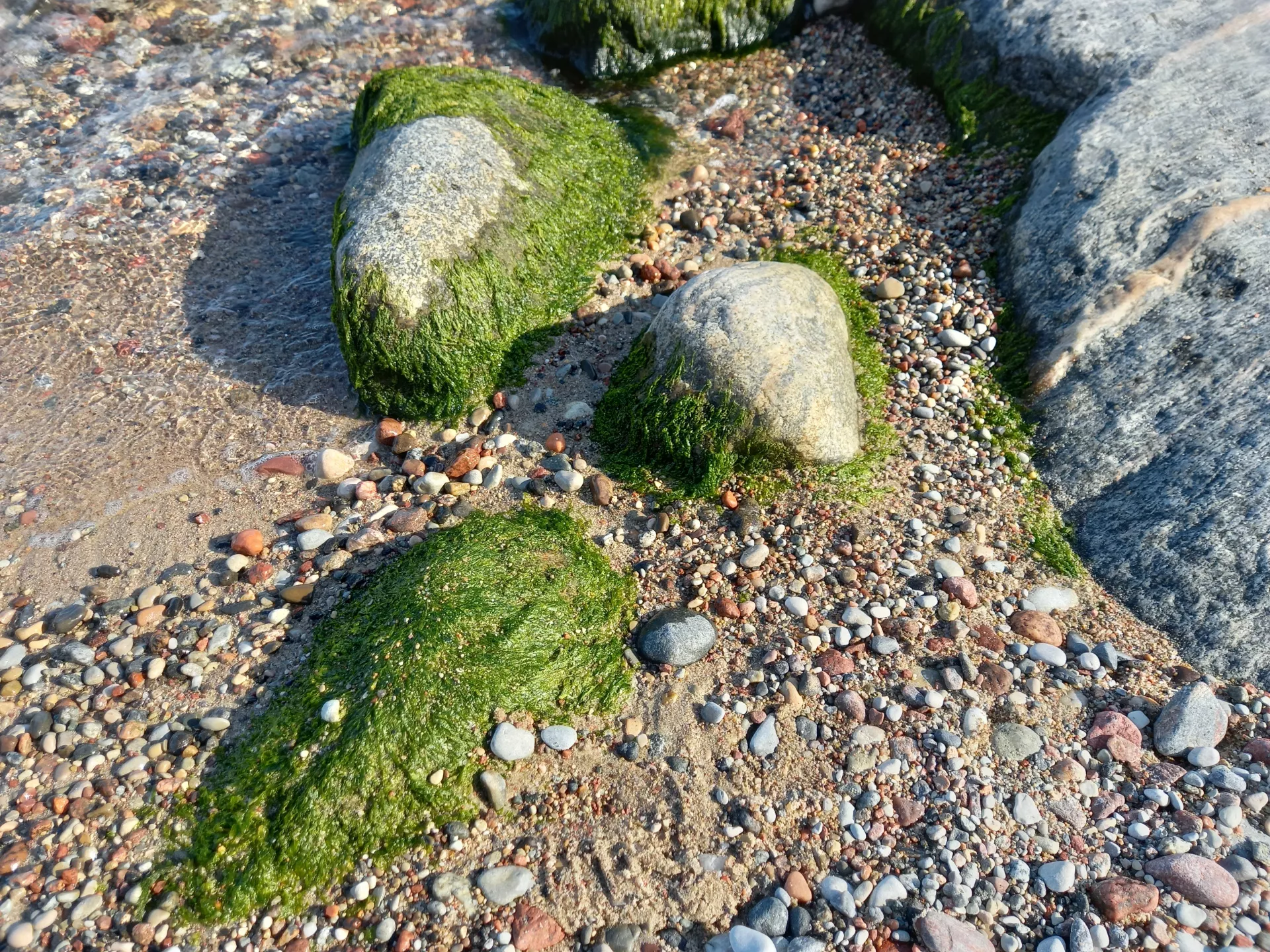 20210929_112653.jpg