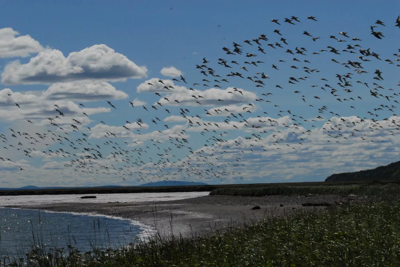 photo_2025-06-16_15-00-34 (3).jpg