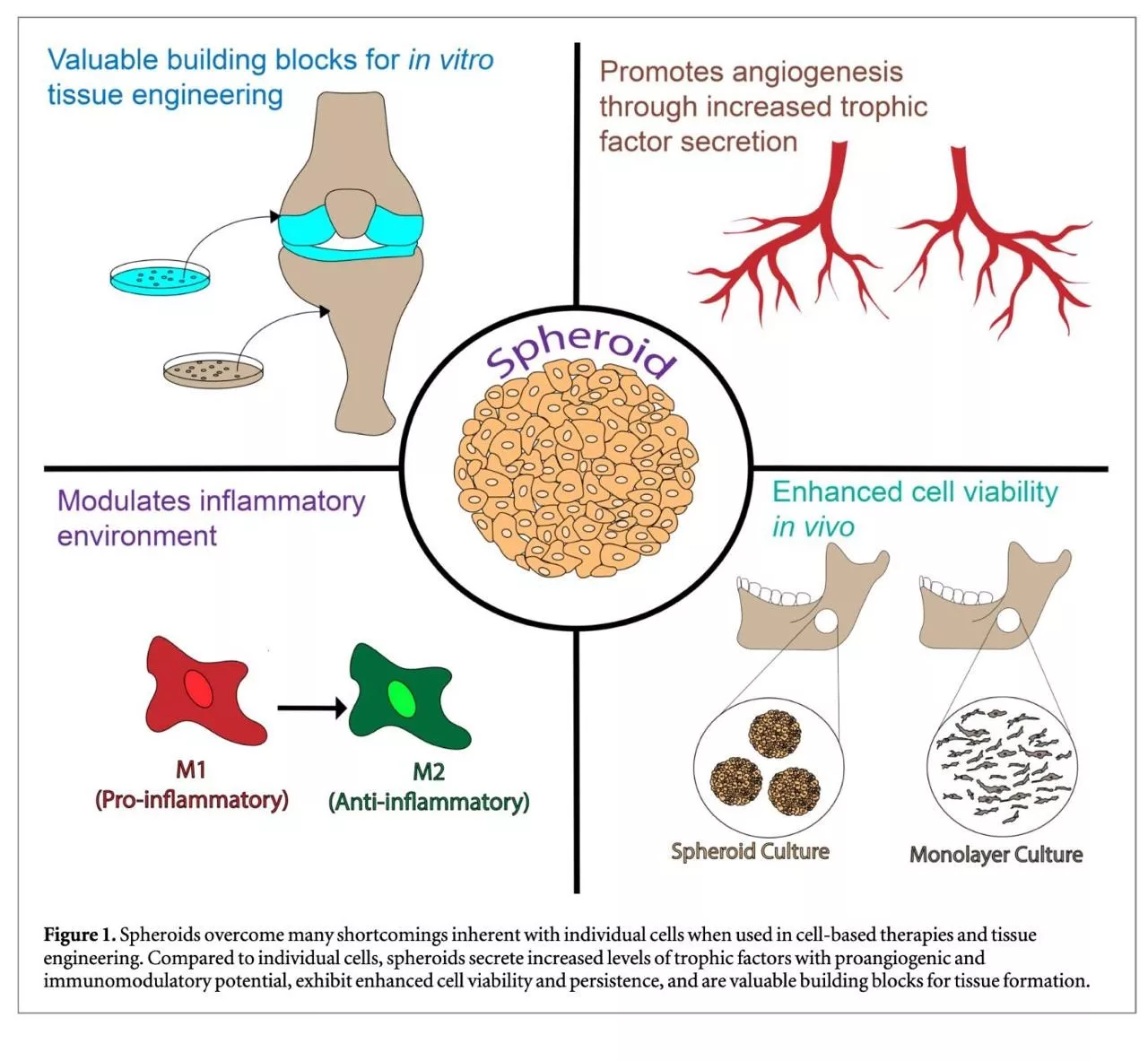 Сфероиды 1.jpg