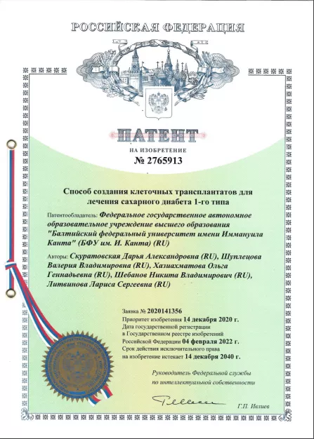 патент.png