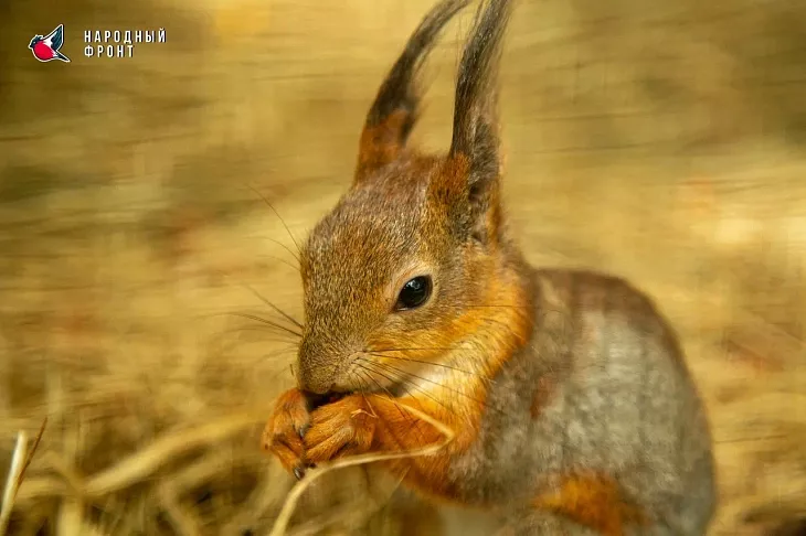 «Случай на&nbsp;форте №1»: для&nbsp;студентов БФУ им.&nbsp;И.&nbsp;Канта провели тактический квест по&nbsp;первой помощи  |  9