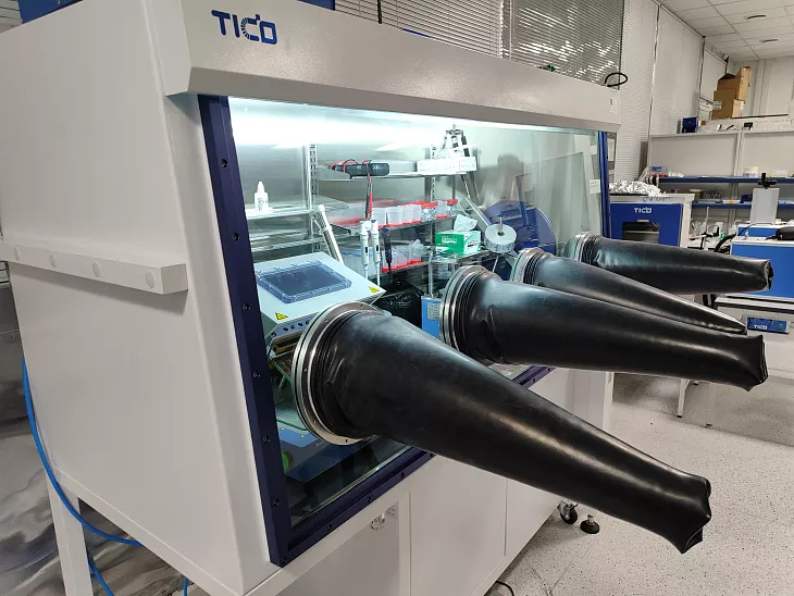 На шаг ближе к&nbsp;аккумуляторам будущего: ученые БФУ разрабатывают метод синтеза инновационного углеродного материала nC |  5