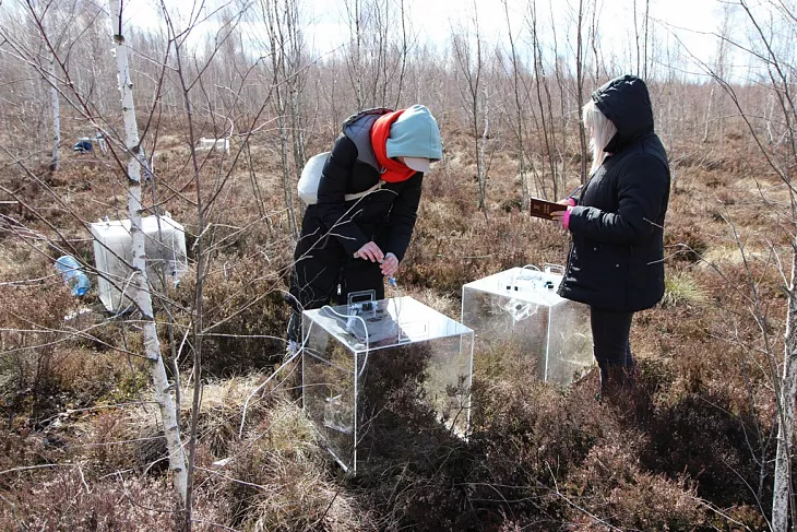 На карбоновом полигоне «Росянка» провели измерения климатически активных газов |  8
