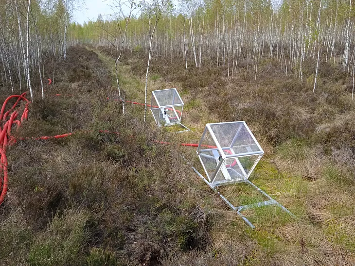 На карбоновом полигоне «Росянка» запустили новую систему мониторинга парниковых газов |  2