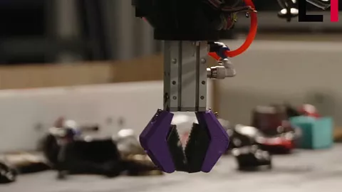 Эксперт акселератора БФУ: «Зеленые технологии — не просто тренд, а объективный переход к новой экологической модели» 