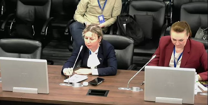 Руководитель Института образования и гуманитарных наук БФУ им. И. Канта выступила спикером международной конференции исследователей образования |  2