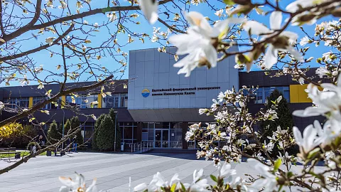 «БФУ им.&nbsp;И.&nbsp;Канта поможет»: университет продолжает прием заявлений на&nbsp;оказание материальной поддержки обучающимся, находящимся в&nbsp;трудной жизненной ситуации