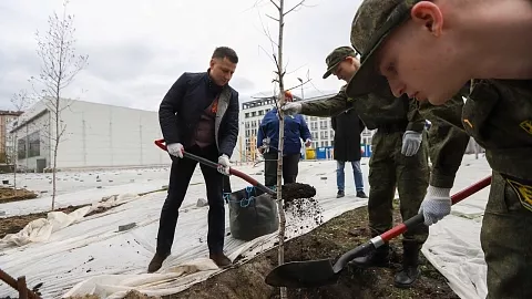 «Аллея славы»: в&nbsp;БФУ им.&nbsp;И.&nbsp;Канта студенты и&nbsp;ректор высадили березы в&nbsp;честь 81-й годовщины Великой Победы