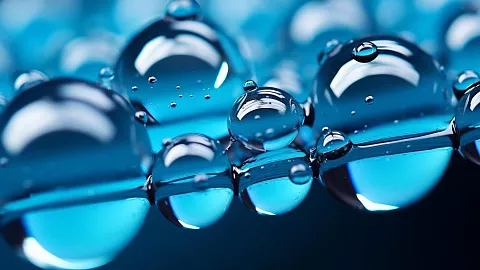 «Как нам замедлить старение?»: спецпроект БФУ им.&nbsp;И.&nbsp;Канта ко&nbsp;Дню российской науки