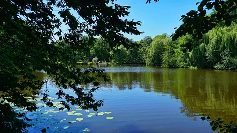 Эксперт БФУ рассказала, каким будет лето 2021 года в Калининграде