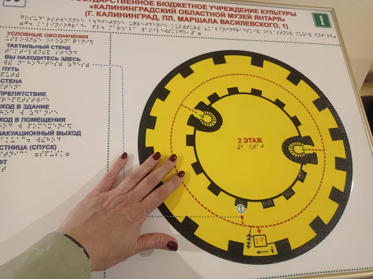 Студенты БФУ будут мониторить учреждения культуры на&nbsp;доступность для&nbsp;людей с&nbsp;инвалидностью и&nbsp;ОВЗ |  4