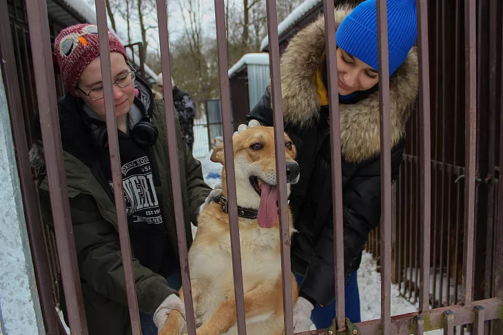 В БФУ проходит марафон добрых дел |  4