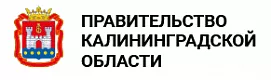 Алексей Беспрозванных доложил вице-премьеру Дмитрию Чернышенко о&nbsp;ходе строительства кампуса в&nbsp;Калининграде
