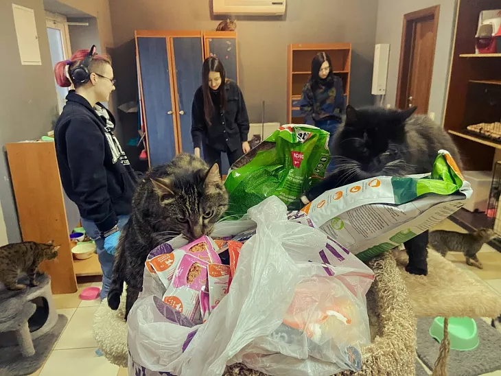 В БФУ проходит марафон добрых дел |  2