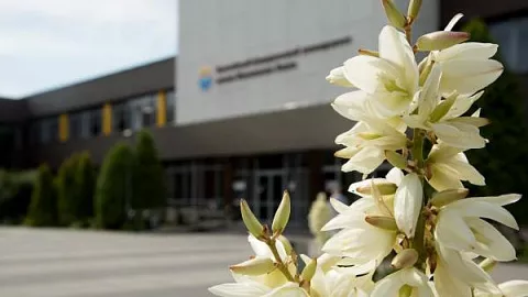 Приглашаем принять участие в онлайн-стажировке «Наставник инновационного проекта»