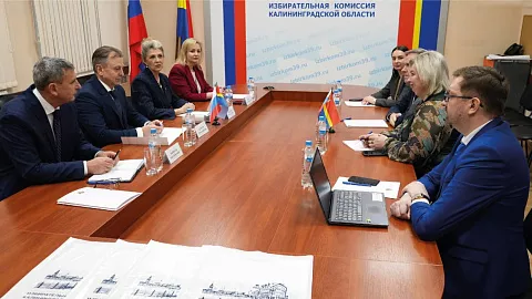 Эксперт БФУ принял участие во&nbsp;встрече с&nbsp;представителями ЦИК РФ в&nbsp;преддверии выборов 2026 года