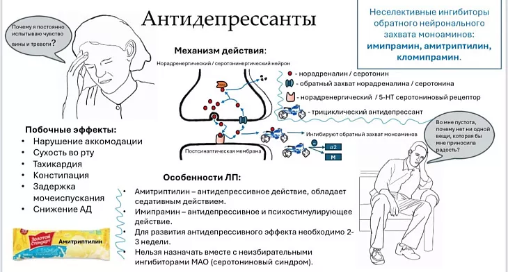 Студенты БФУ им. И. Канта заняли первое место на Всероссийской олимпиаде по фармакологии |  3