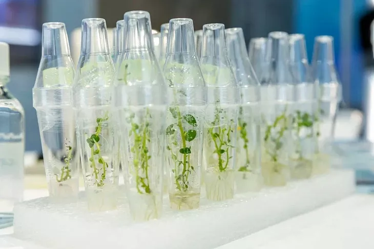 На Международной выставке-форуме «Россия» Открылась обновленная экспозиция «Десятилетие науки и&nbsp;технологий»   |  11