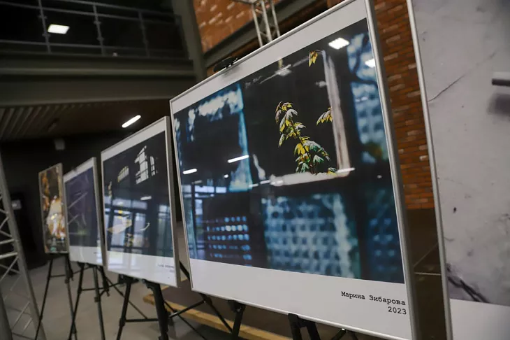 «Как творчество меняет промышленность» — обсудили эксперты международного фестиваля «АртПром» в БФУ им. И. Канта  |  5