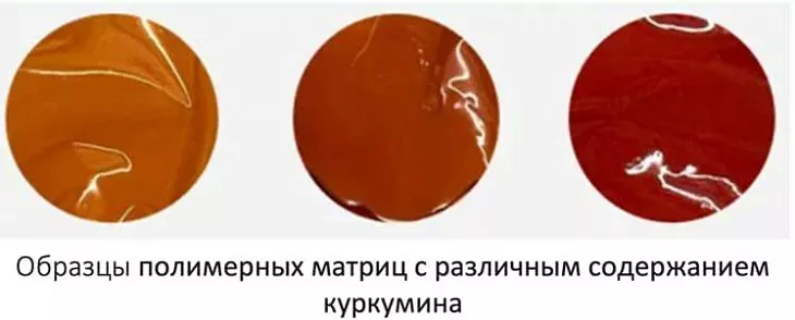 Куркумин против меланомы: ученые БФУ им. И. Канта и ИТМО нашли эффективный способ доставки лекарств |  1