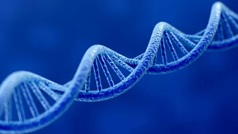 Постер ученых БФУ им. И. Канта о генетических особенностях рака кишечника — в числе лучших на XI Съезде медицинских генетиков