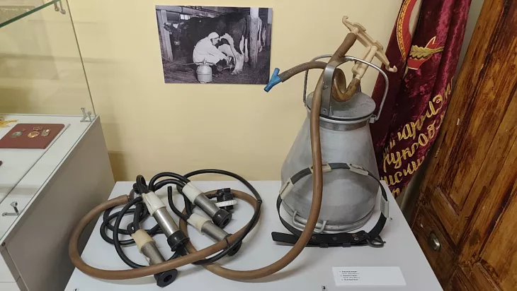 Исследователи БФУ оцифровали историю послевоенного Славска |  5