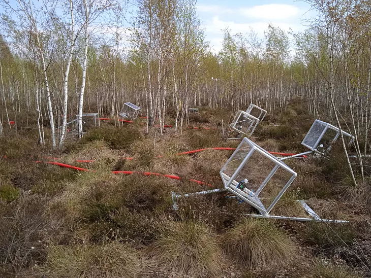 На карбоновом полигоне «Росянка» запустили новую систему мониторинга парниковых газов |  1