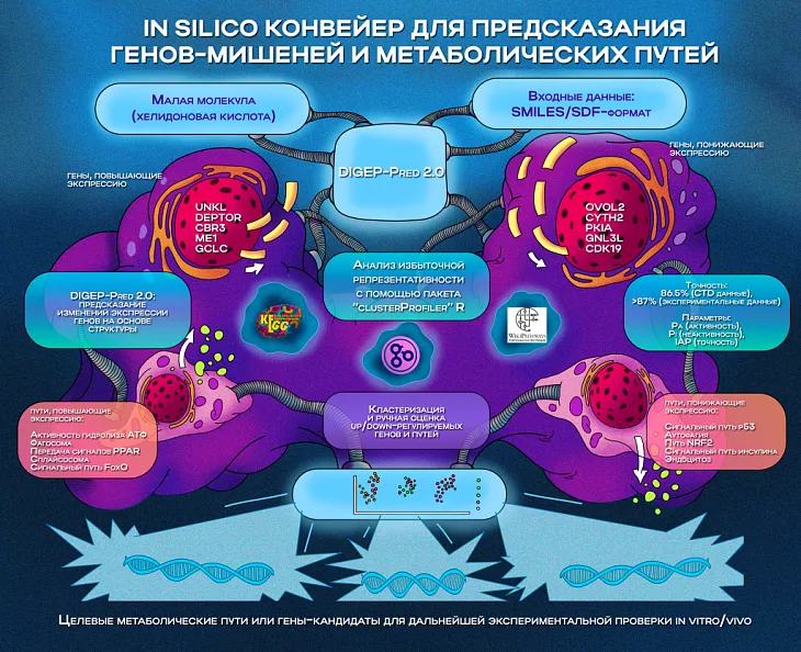 Вышел первый выпуск научного журнала БФУ им. И. Канта по биомедицине  |  4
