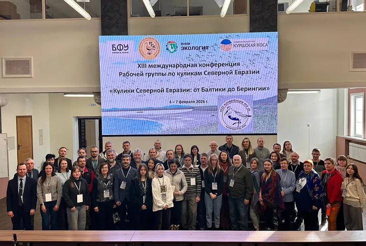 От Балтики до&nbsp;Берингии: в&nbsp;БФУ им.&nbsp;И.&nbsp;Канта обсудили спасение редких куликов |  1