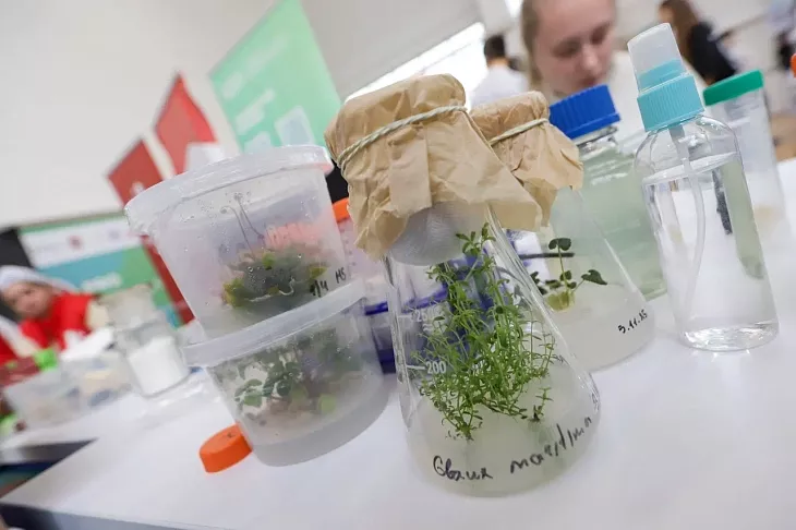 Медицина, управление, ИТ, педагогика: как БФУ им. И. Канта представлен на крупнейшей в регионе выставке образования |  4