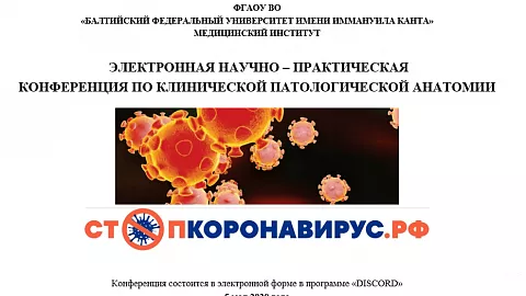 Студенты медики обсудили проблемы патанатомии в рамках онлайн-конференции