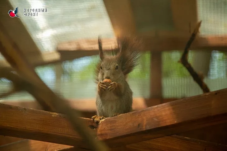 «Случай на&nbsp;форте №1»: для&nbsp;студентов БФУ им.&nbsp;И.&nbsp;Канта провели тактический квест по&nbsp;первой помощи  |  10