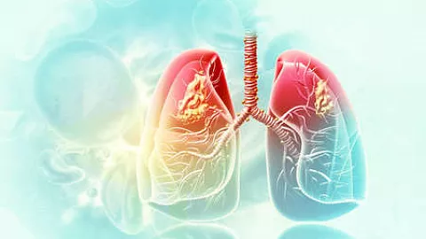 В БФУ им. И. Канта состоялся Форум с международным участием по онкологии