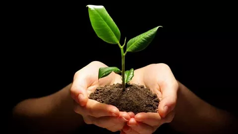 Студенты-экологи БФУ заняли первое место в конкурсе «Будущее в наших руках»